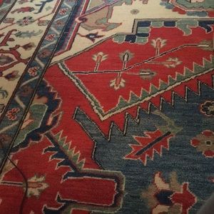 Meet your Posher, Darcy